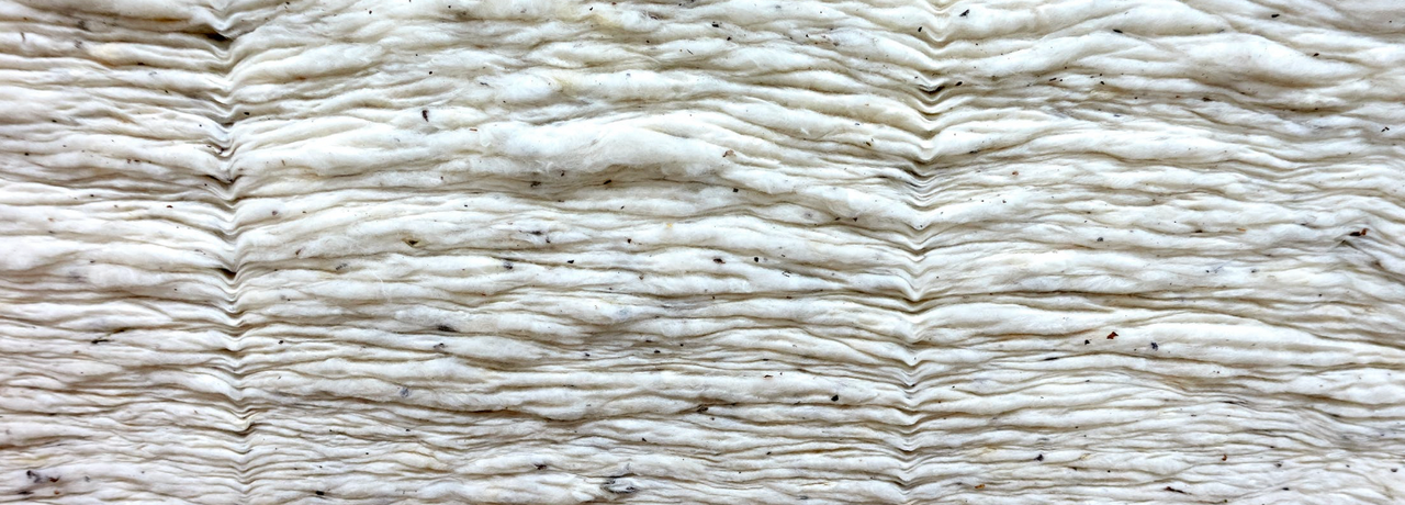 Does Organic Cotton Matter?