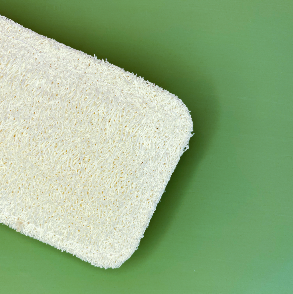 Biodegradable Sponge