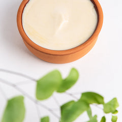 Solid dishwashing soap in a terracotta holder with green leaves on a white background