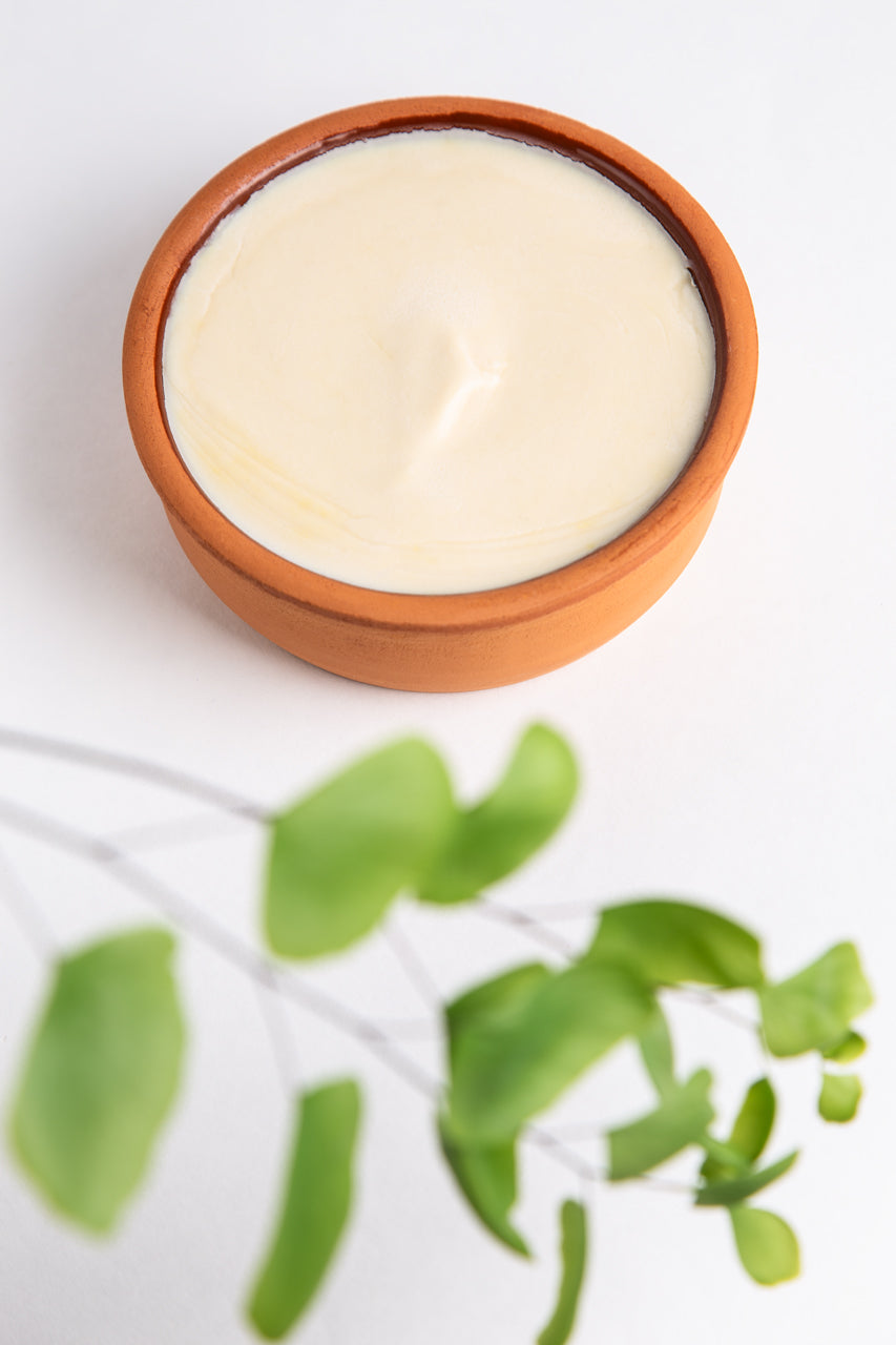 Solid dishwashing soap in a terracotta holder with green leaves on a white background