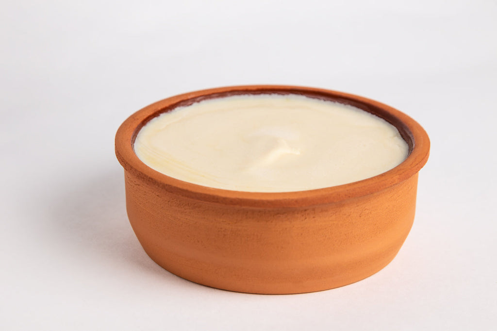 Terracotta bowl with a solid dish soap on a white background