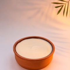 Ceramic bowl with a solid dishwashing soap on a light background with a palm leaf
